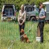 images/attractions/gundog-scurry/Scurry.jpg